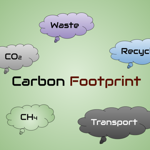 carbon footprint