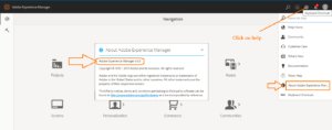 How to find out the current AEM version?