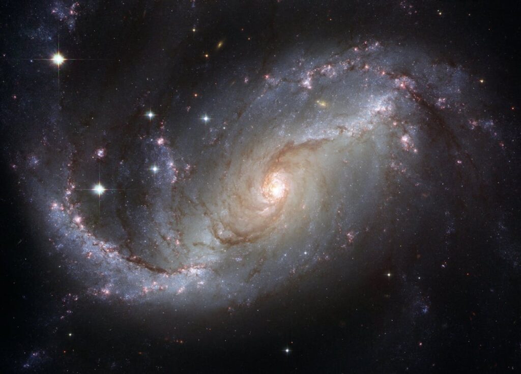 why have we not found any form of life in universe 1