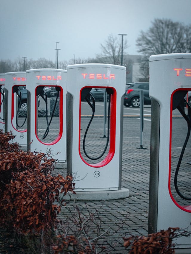 electric vehicles - blessing or not
