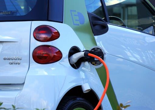 electric vehicles - blessing or not