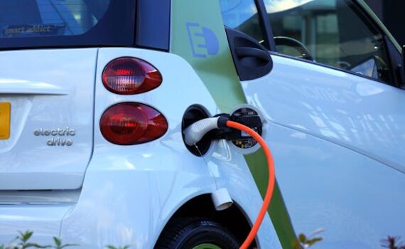 electric vehicles - blessing or not