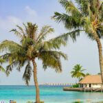 Eco-friendly tourism practices in India supported by AI technologies, promoting sustainable travel experiences