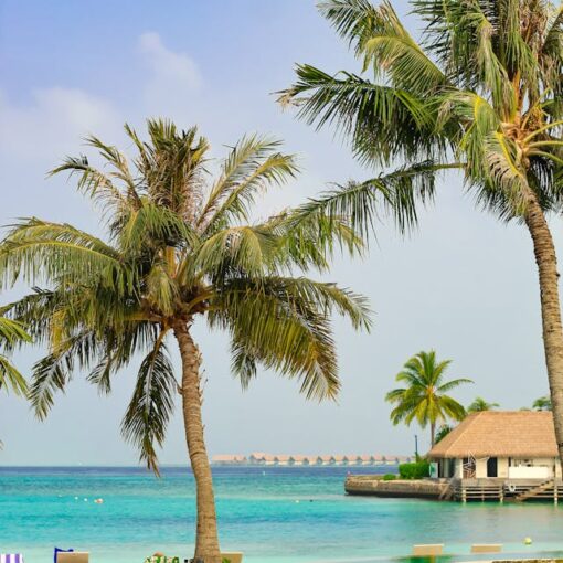 Eco-friendly tourism practices in India supported by AI technologies, promoting sustainable travel experiences