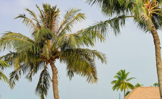 Eco-friendly tourism practices in India supported by AI technologies, promoting sustainable travel experiences